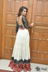 Diksha Panth at Gopala Gopala Movie Audio Launch